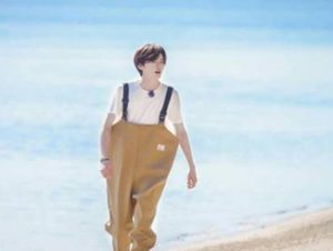 《漂亮书生》讲述了什么故事 该剧什么时候播出