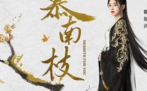 《如意芳霏》热播，鞠婧祎又携《慕南枝》强势官宣