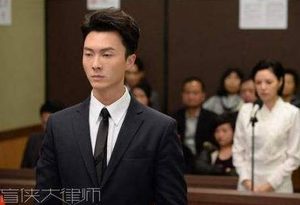 《盲侠大律师》主演都有谁 该剧讲述了什么故事