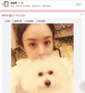 云中歌首播遭抵制收视率暴跌 angelababy成炮灰