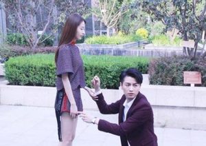 《舒克与桃花》剧情怎么样？爆笑非常，女主人设好