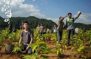 《江山如此多娇》电视剧一共有多少集 大结局是什么