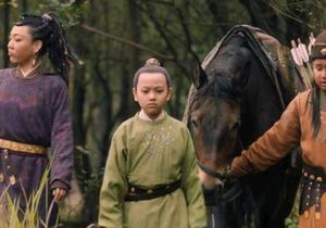 《大宋宫词》该剧评分为什么会下场 杨四郎为什么化名“木易”
