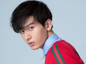 《南风知我意》成毅饰演的是谁？与《琉璃》“神仙联动”