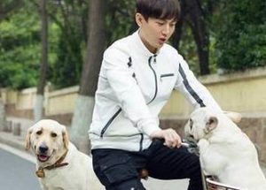电影《营救汪星人》即将上映？成毅粉丝不淡定了