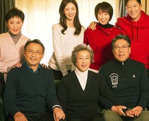 《北辙南辕》是一部什么题材的电视剧 该剧的导演是谁