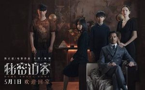 电影《秘密访客》是根据小说改编的吗？主要剧情介绍