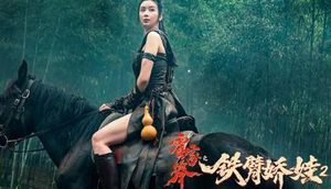 《霍家拳之铁臂娇娃2》从剧情来看，该片保持了首部的看点