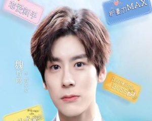《贺先生的恋恋不忘》什么时候播出？主演阵容如何？