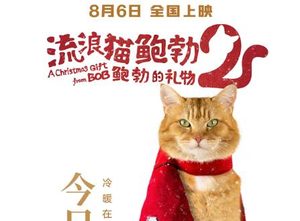 电影《流浪猫鲍勃2：鲍勃的礼物》内地上映，喵星人拯救流浪汉