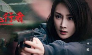 《玫瑰行者》有哪些看点？剧集质量如何？