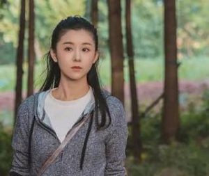 《花开山乡》是什么剧？王雷夫妻领衔主演