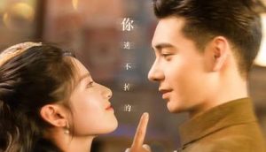 《一见倾心》优酷多集上线，由陈星旭、张婧仪等演员主演
