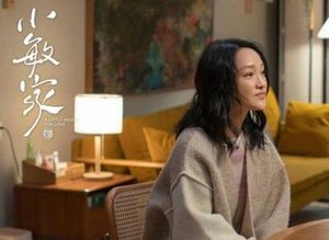 《小敏家》讲述了什么故事？一周更新几集