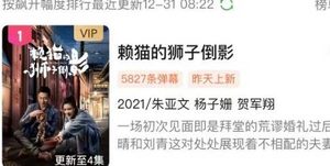 《赖猫的狮子倒影》收视率怎么样?由朱亚文，杨子姗主演