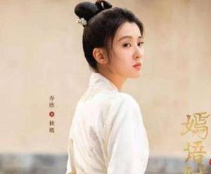 《嫣语赋》秋家二房到底有什么秘密？