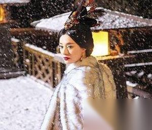 芈月传竟是个“买一送八”大赠送的故事 真相如何
