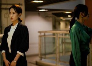 《女士的法则》是根据小说改编的吗 大结局讲了什么