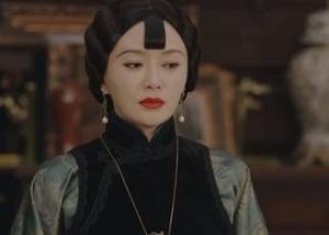 新剧《传家》是什么题材?口碑怎么样？