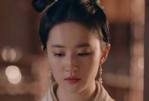 《梦华录》赵盼儿的真实身份是什么？与皇后有关？