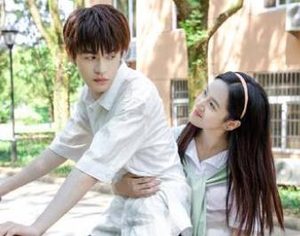《何加加的桃花源记》是什么剧？城市女的田园造梦