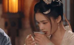 《梦华录》宋引章被骗，赵盼儿顾千帆有责任吗？