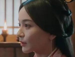 《星汉灿烂》王延姬是什么人？她为何还害少商