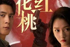《梅花红桃》是什么剧?关晓彤和韩东君主演