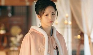 《虚颜》十七是谁 真正身份是什么