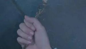 《请君》阿鑫舍生取义牺牲自己，把陆炎救了回来