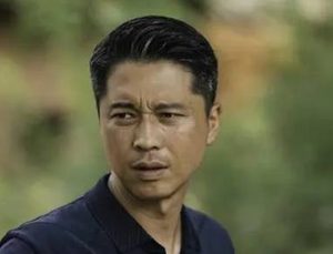 《山河锦绣》是什么剧情？在央视一套两集首播