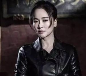 《大客栈》主演是谁？在搜狐视频独家上线开播