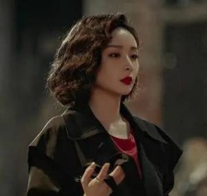《此心安处是吾乡》是什么剧？爆款剧预定