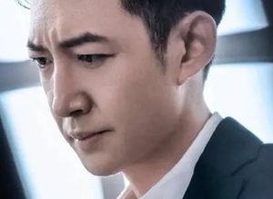 《特工任务》主演是谁？属于国安题材