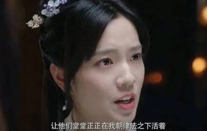 《春家小姐是讼师》题材有趣，讲述了什么故事？