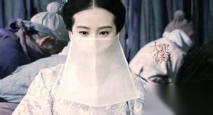 女医明妃传中朱祁镇和朱祁钰为夺皇位反目成仇
