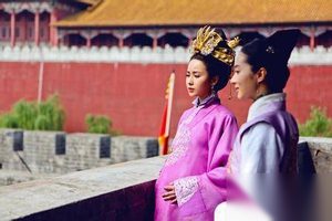 女医明妃传钱皇后是第几集有孩子的？