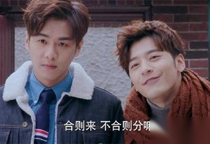 十五年等待候鸟剧情第15集 黎璃以晨获得公司留任