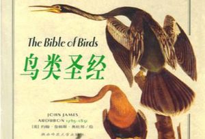 美国画家和自然主义作家约翰·詹姆斯·奥杜邦诞生