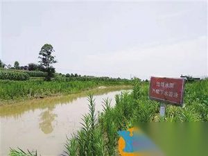 双胞胎姐妹溺亡 获救的男孩有心理阴影怕水