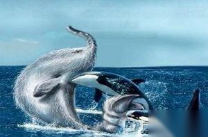 南非海怪是什么？揭秘南非海怪事件