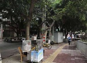 六旬修表匠在儿子失踪处摆摊30年 只想再见儿子一面