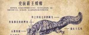 史上最大的蝾螈——史前霸王蝾螈，恐龙见了都怕