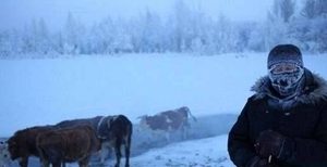 世界上最冷的村庄——奥伊米亚康 常年平均温度只有零下15度