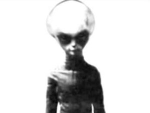 地球人接触过的外星人——齐塔人和昴宿星人