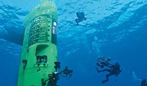 深海1万米都有些什么生物？它们都是靠什么为生