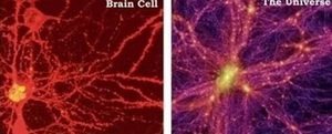 为什么说宇宙可能是巨人的细胞？宇宙的成长过程和脑细胞是一样吗