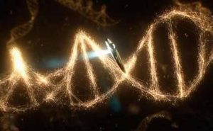 科学家为什么会认为DNA是一个程序 那么这个程序员会是外星人吗