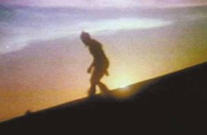 蒙古野人阿尔马斯：介于人和猿之间的奇怪种群