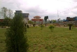 湖南洞口县喷香的土地：土地散发奇异香味